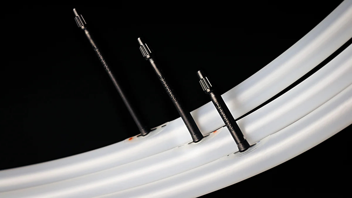 Revoloop TPU tubes 700x23-30 60mm presta