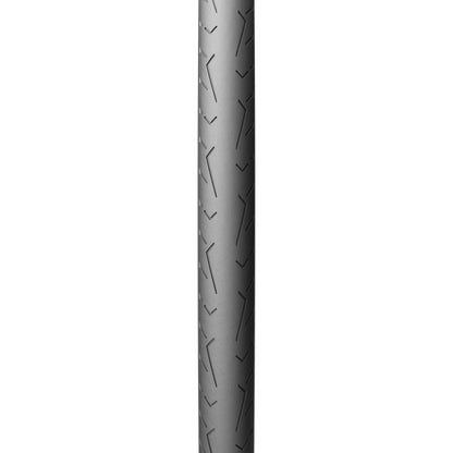 Pirelli Cinturato Evo 32mm