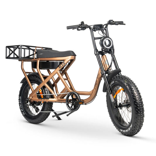 Ampd Bros Ace-S Cargo Max E-Bike