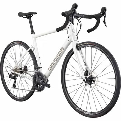Synapse 1 Cashmere
