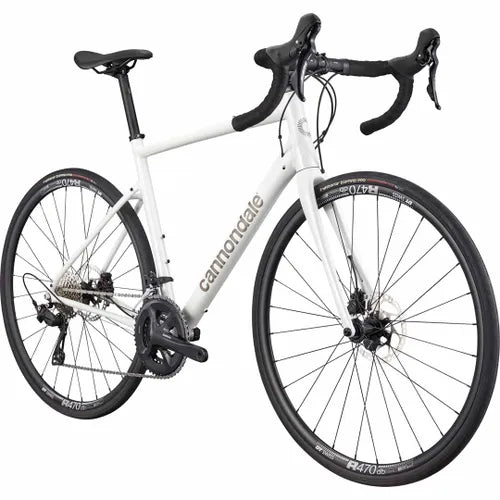 Synapse 1 Cashmere