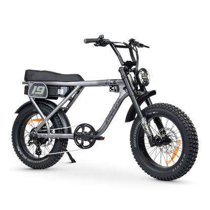 Ampd Bros ACE Adventure Series 5 Titanium