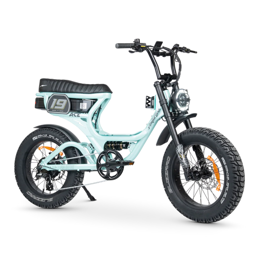 Ampd Bros ACE PRO Series 5 Step Thru Mint Metallic