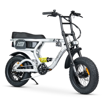 Ampd Bros ACE-X Mini PRO Series 5 Raw