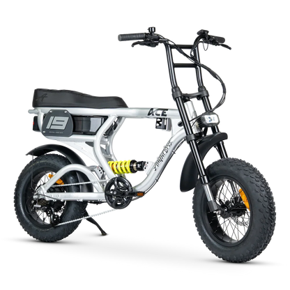 Ampd Bros ACE-X Mini PRO S5 Raw