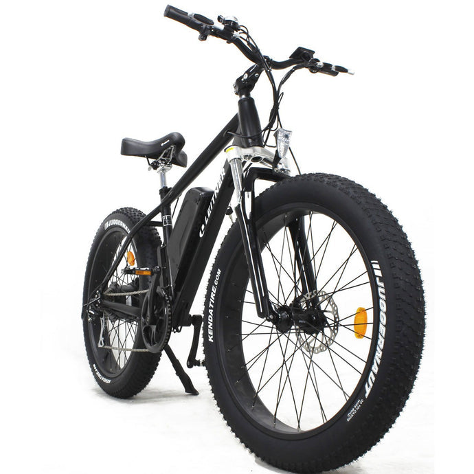 Leitner high power electric fat bike