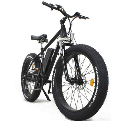 Leitner high power electric fat bike