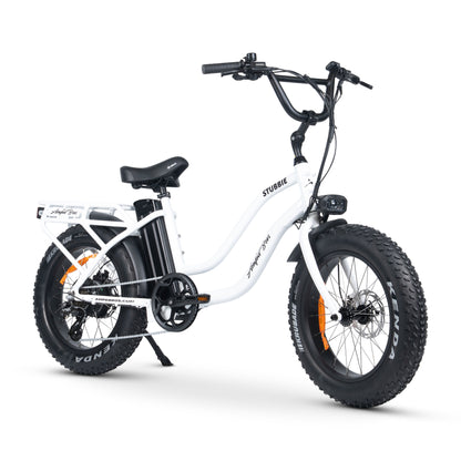 Ampd Bros Stubbie-S S3 Electric Bike — product image 5